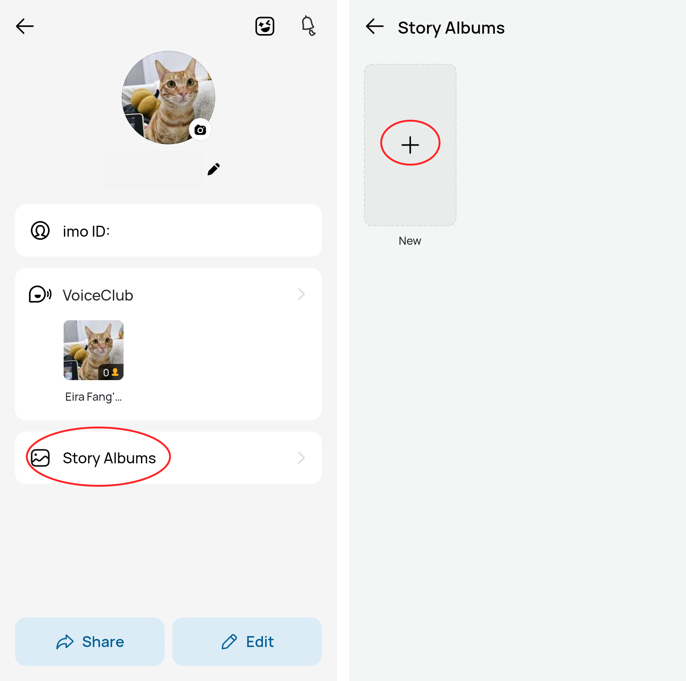 Create an imo story album